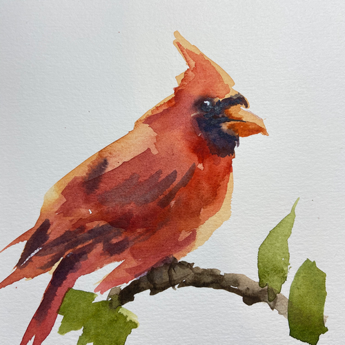 Cardinal